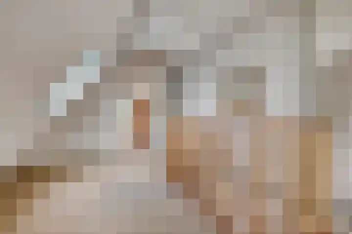 't Spil 45 Monnickendam thumbnail 21