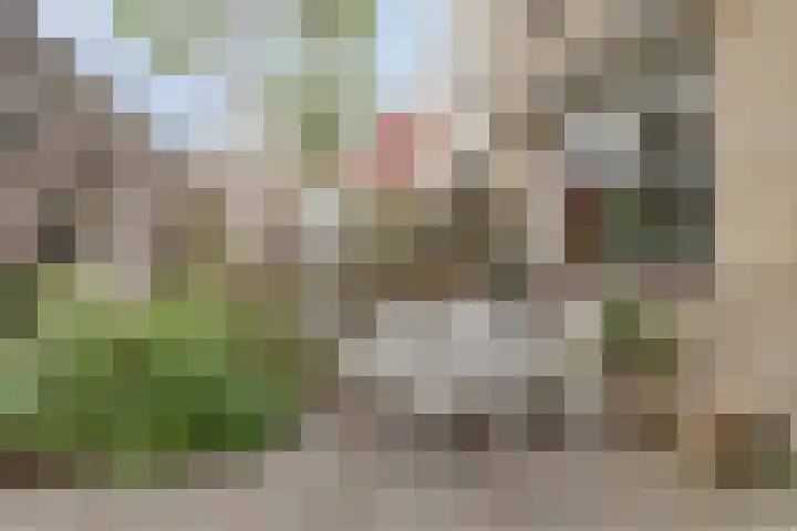 't Spil 45 Monnickendam thumbnail 25