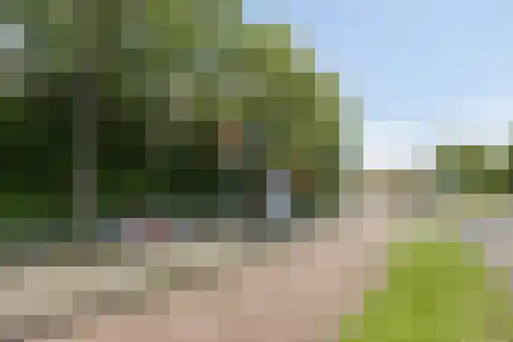 't Spil 45 Monnickendam thumbnail 29