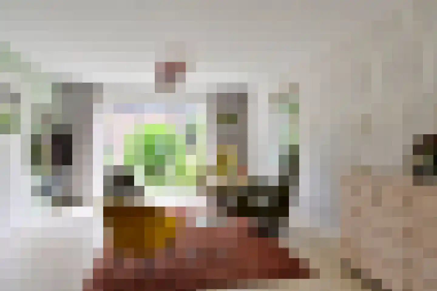 't Spinder 2 Westwoud thumbnail 11