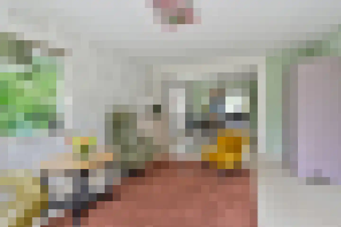 't Spinder 2 Westwoud thumbnail 12