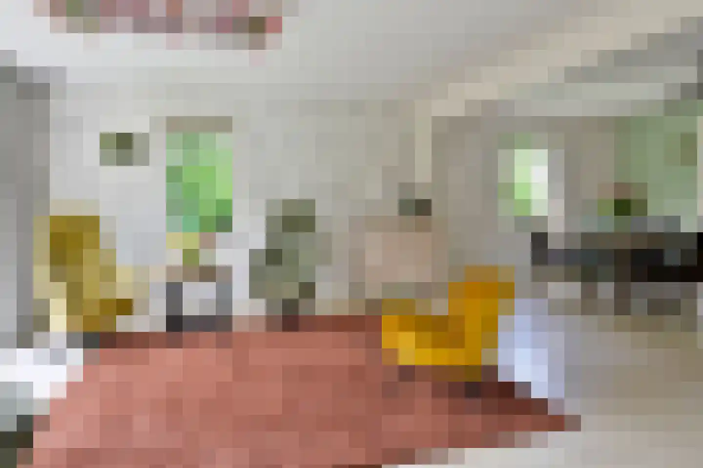 't Spinder 2 Westwoud thumbnail 15