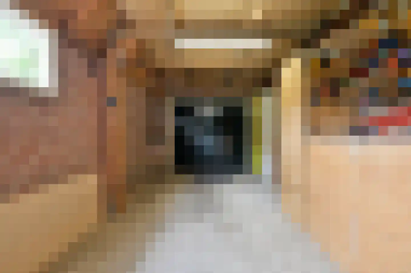 't Spinder 2 Westwoud thumbnail 26