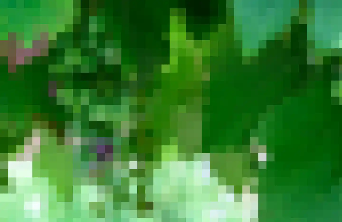 't Spinder 2 Westwoud thumbnail 35