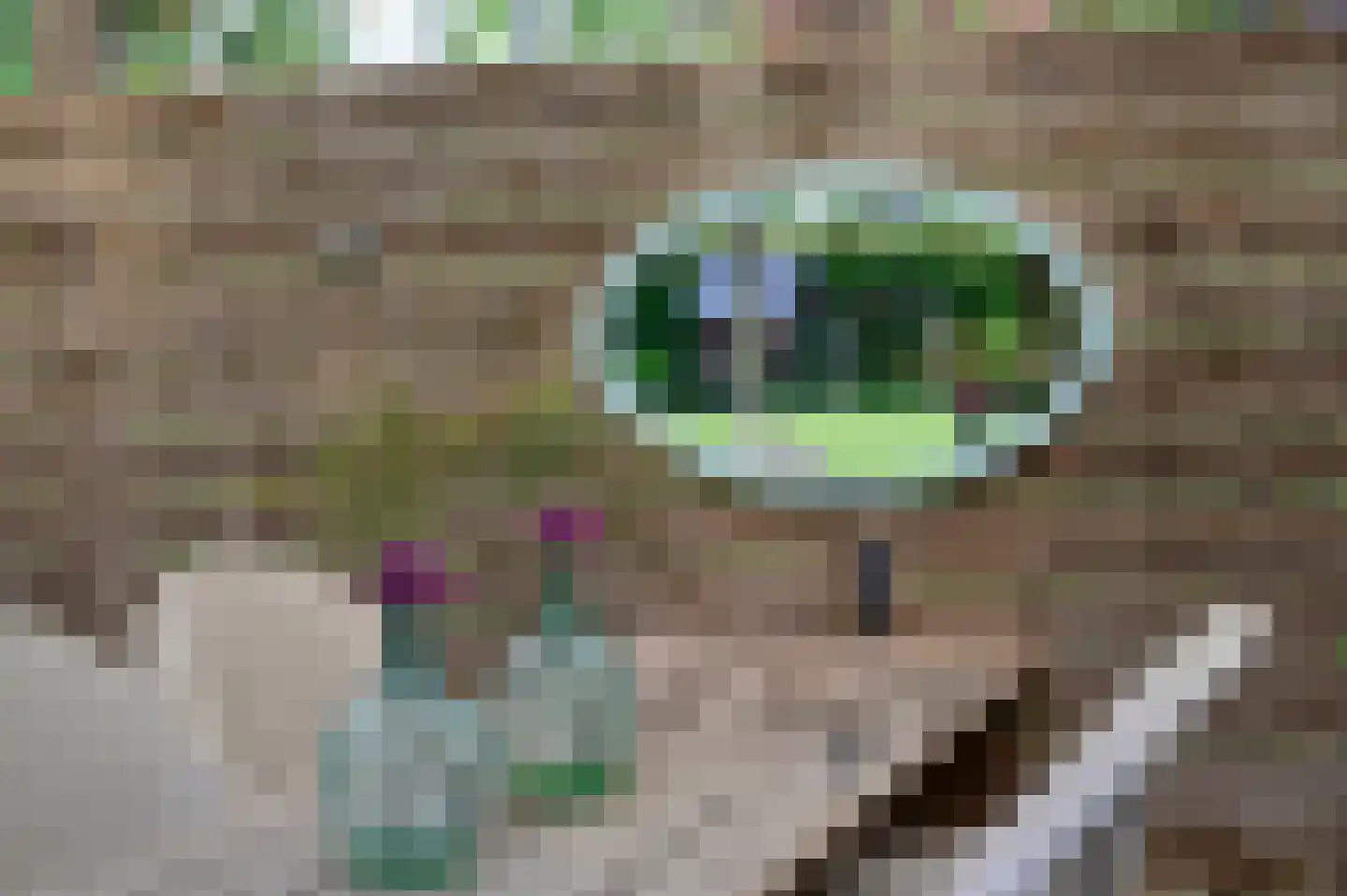 't Spinder 2 Westwoud thumbnail 38