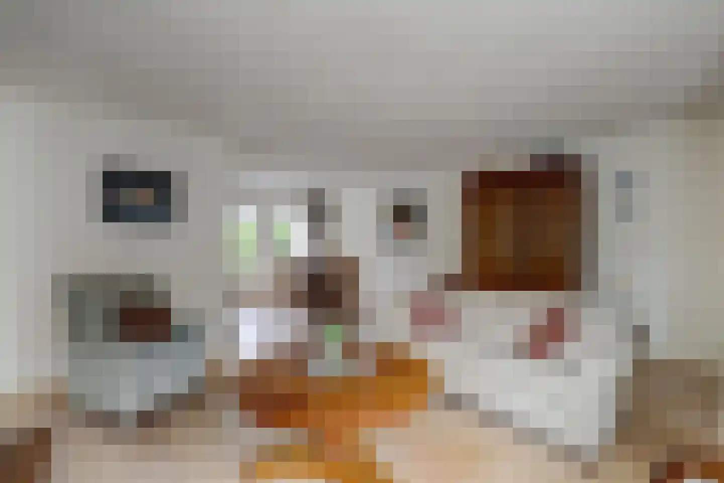 't Staakske 22 Hank thumbnail 10