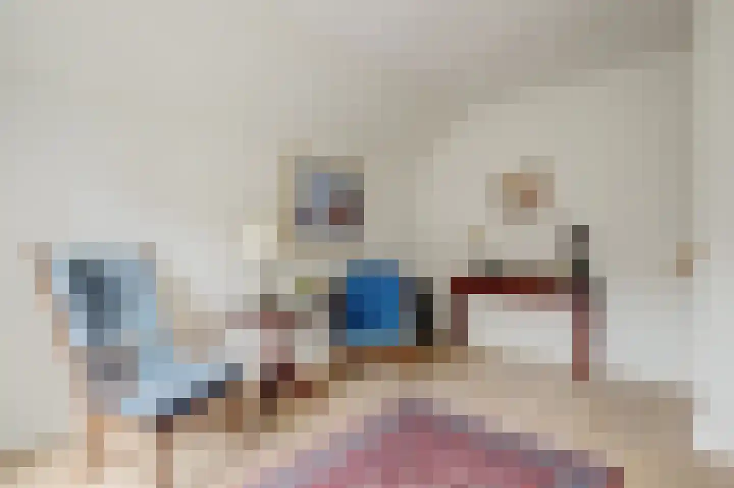 't Staakske 22 Hank thumbnail 13