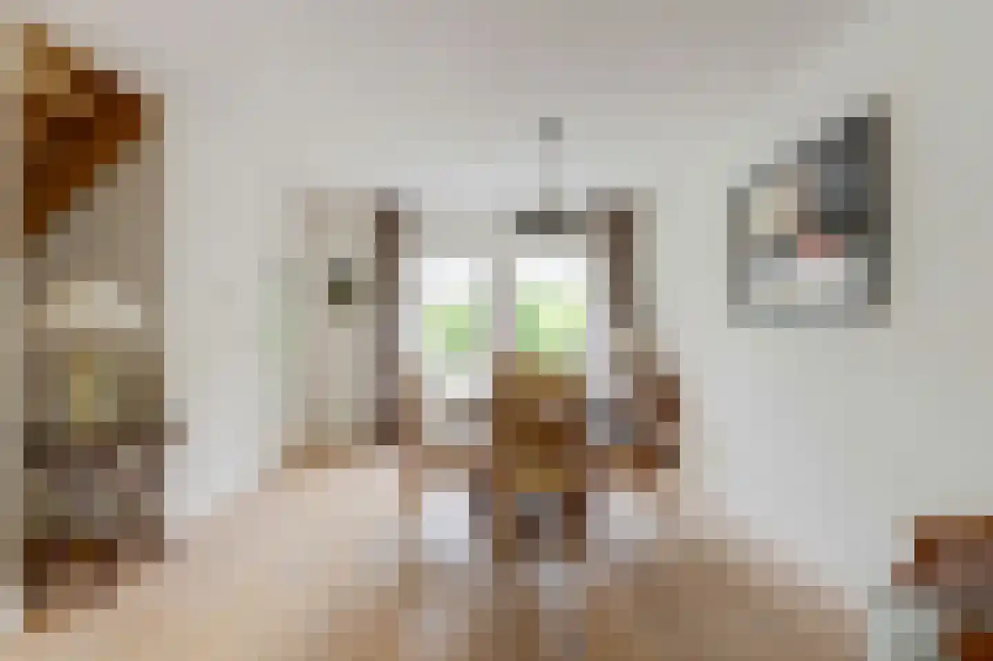't Staakske 22 Hank thumbnail 15