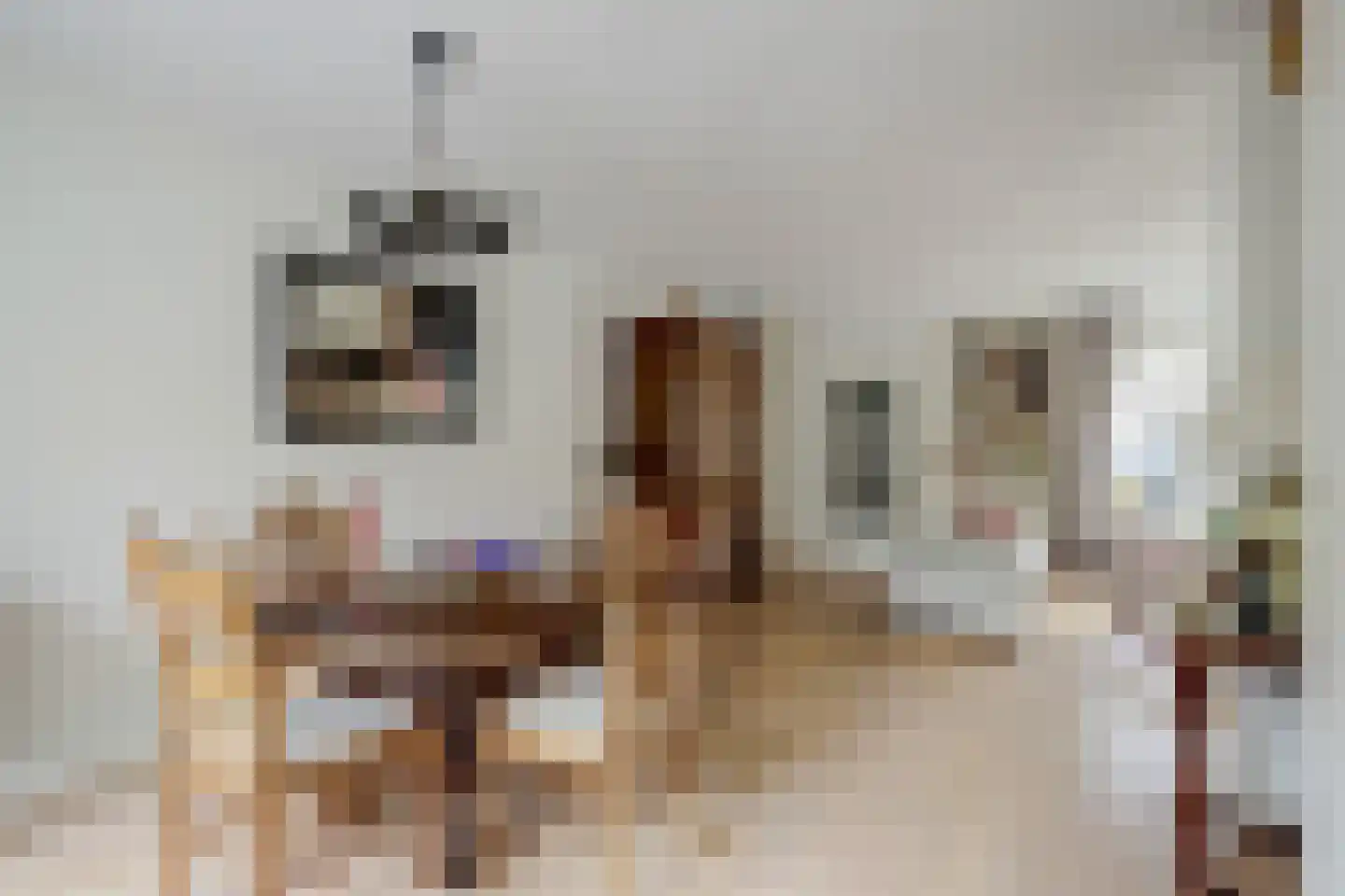 't Staakske 22 Hank thumbnail 17