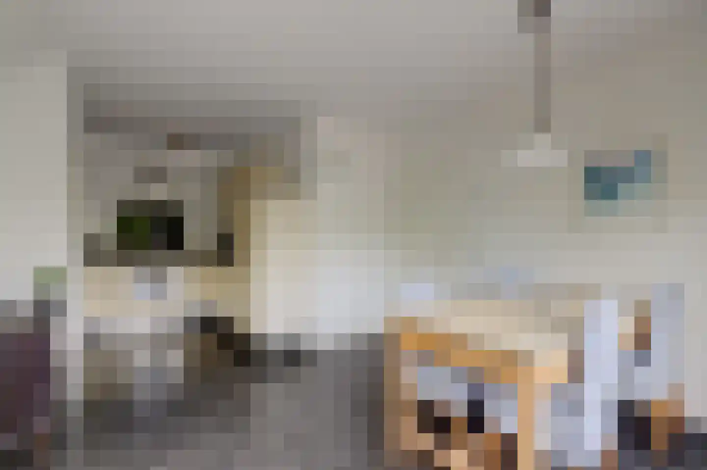 't Staakske 22 Hank thumbnail 19