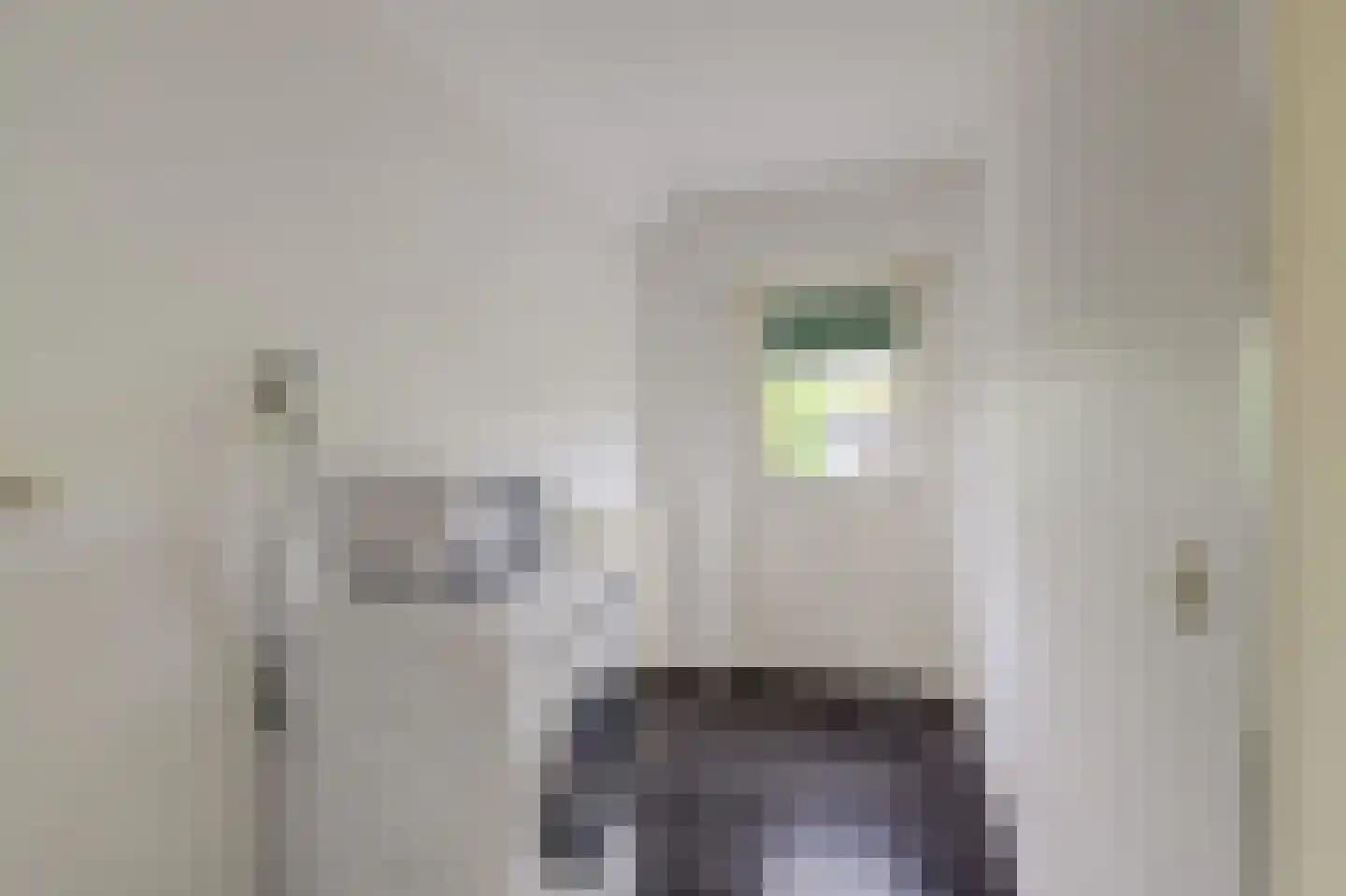 't Staakske 22 Hank thumbnail 22
