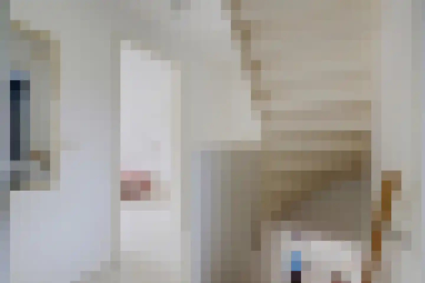 't Staakske 22 Hank thumbnail 24