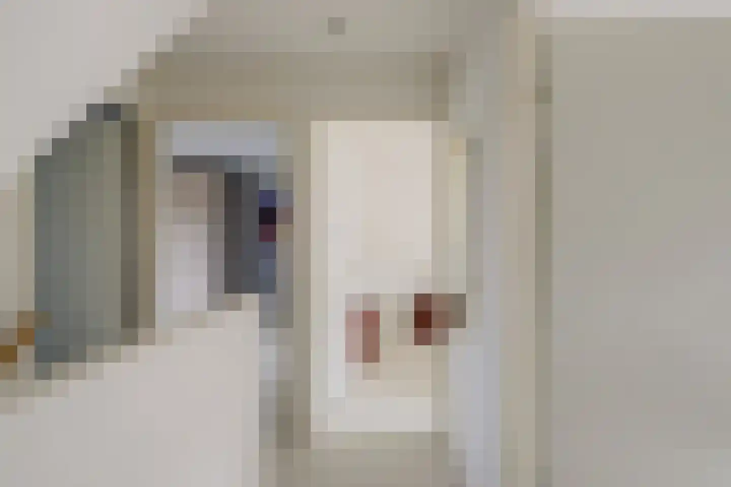 't Staakske 22 Hank thumbnail 25