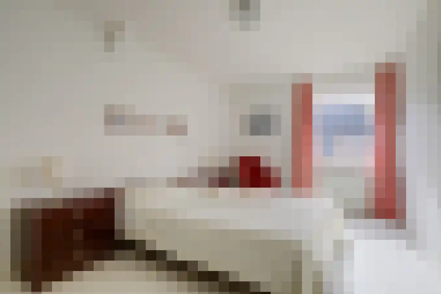 't Staakske 22 Hank thumbnail 26