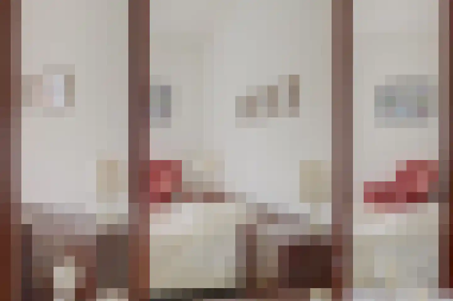 't Staakske 22 Hank thumbnail 27