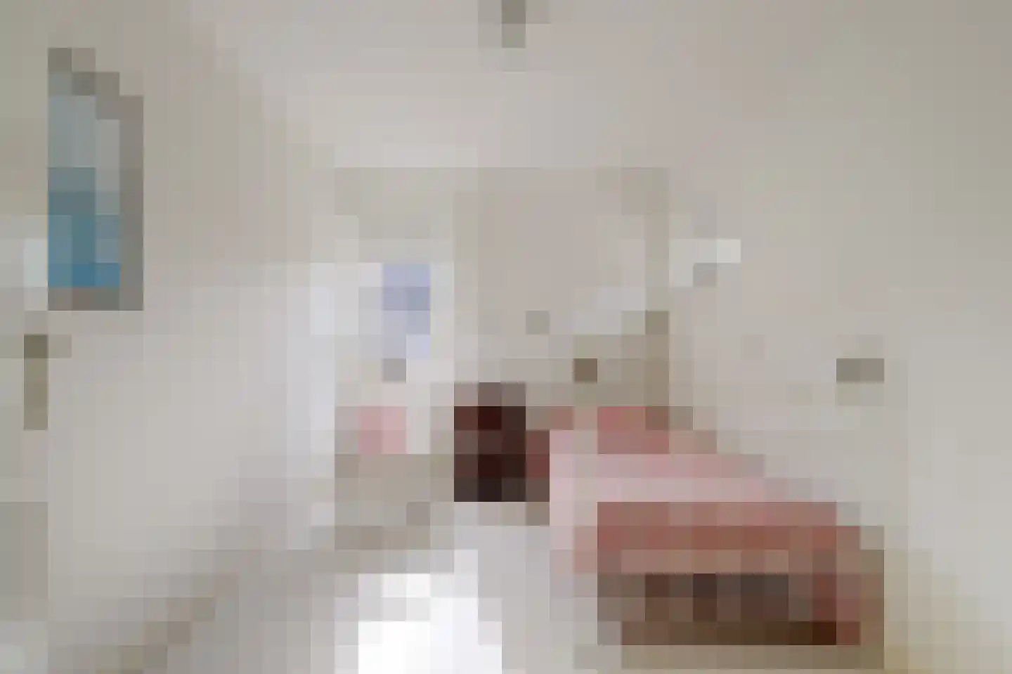 't Staakske 22 Hank thumbnail 29
