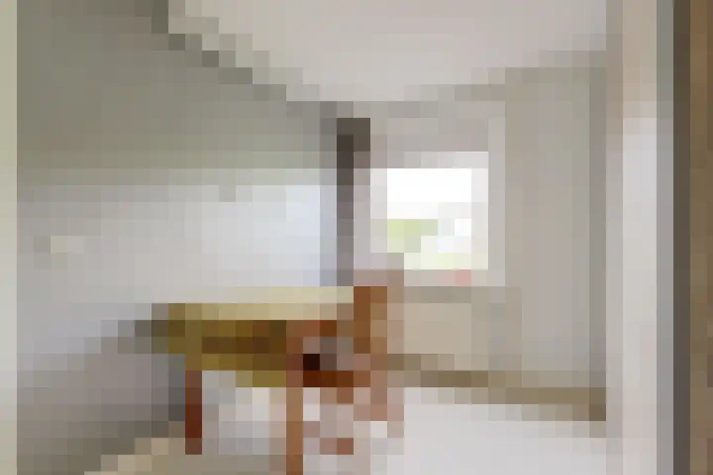 't Staakske 22 Hank thumbnail 31