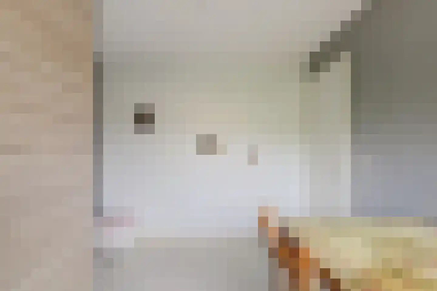 't Staakske 22 Hank thumbnail 32