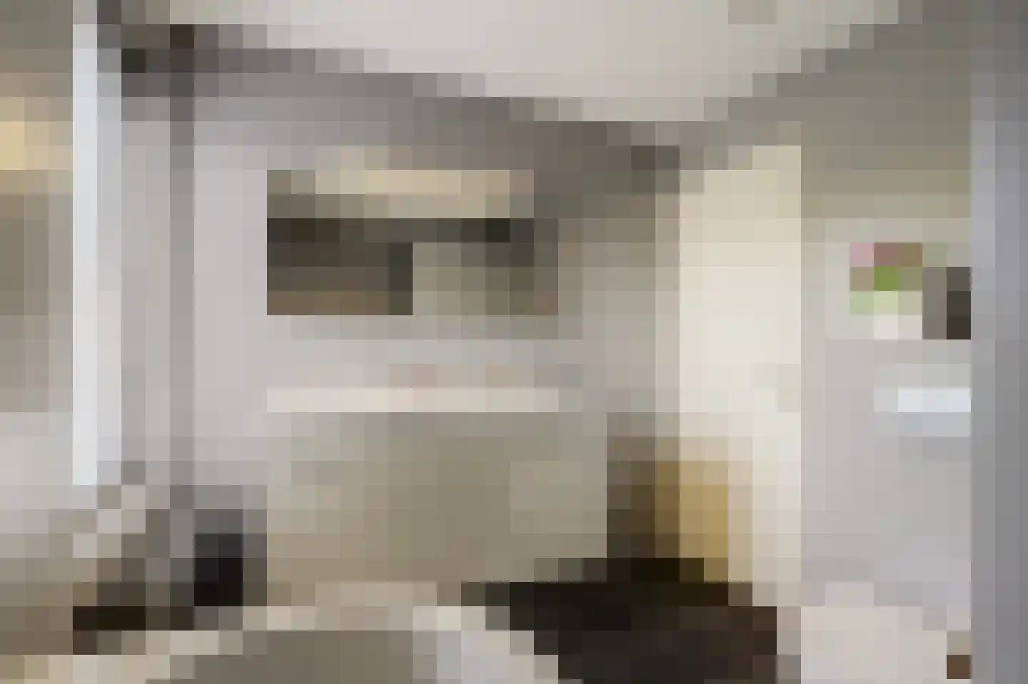 't Staakske 22 Hank thumbnail 34