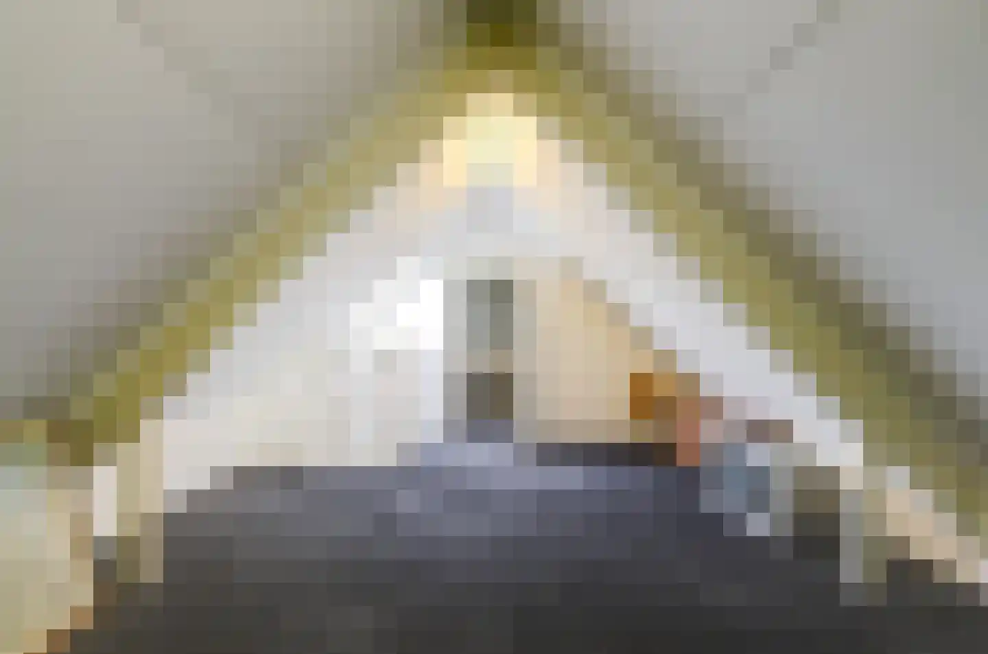 't Staakske 22 Hank thumbnail 37
