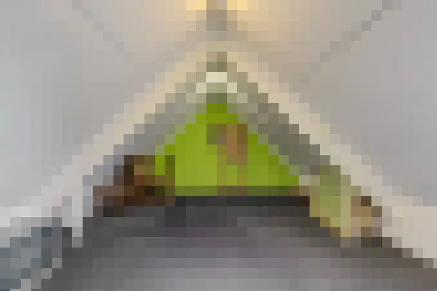 't Staakske 22 Hank thumbnail 38