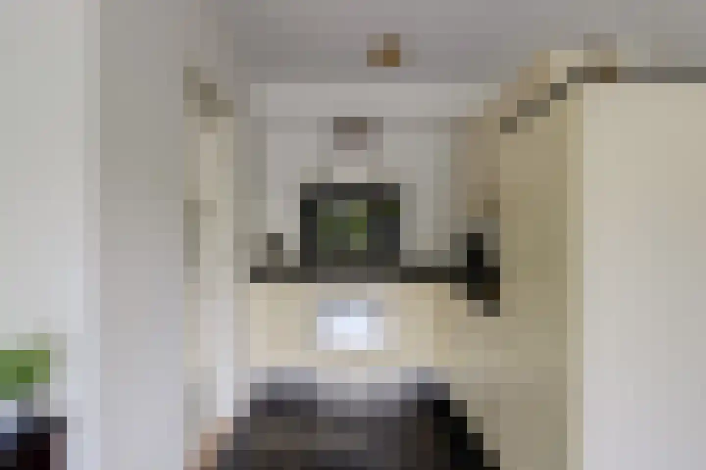 't Staakske 22 Hank thumbnail 4