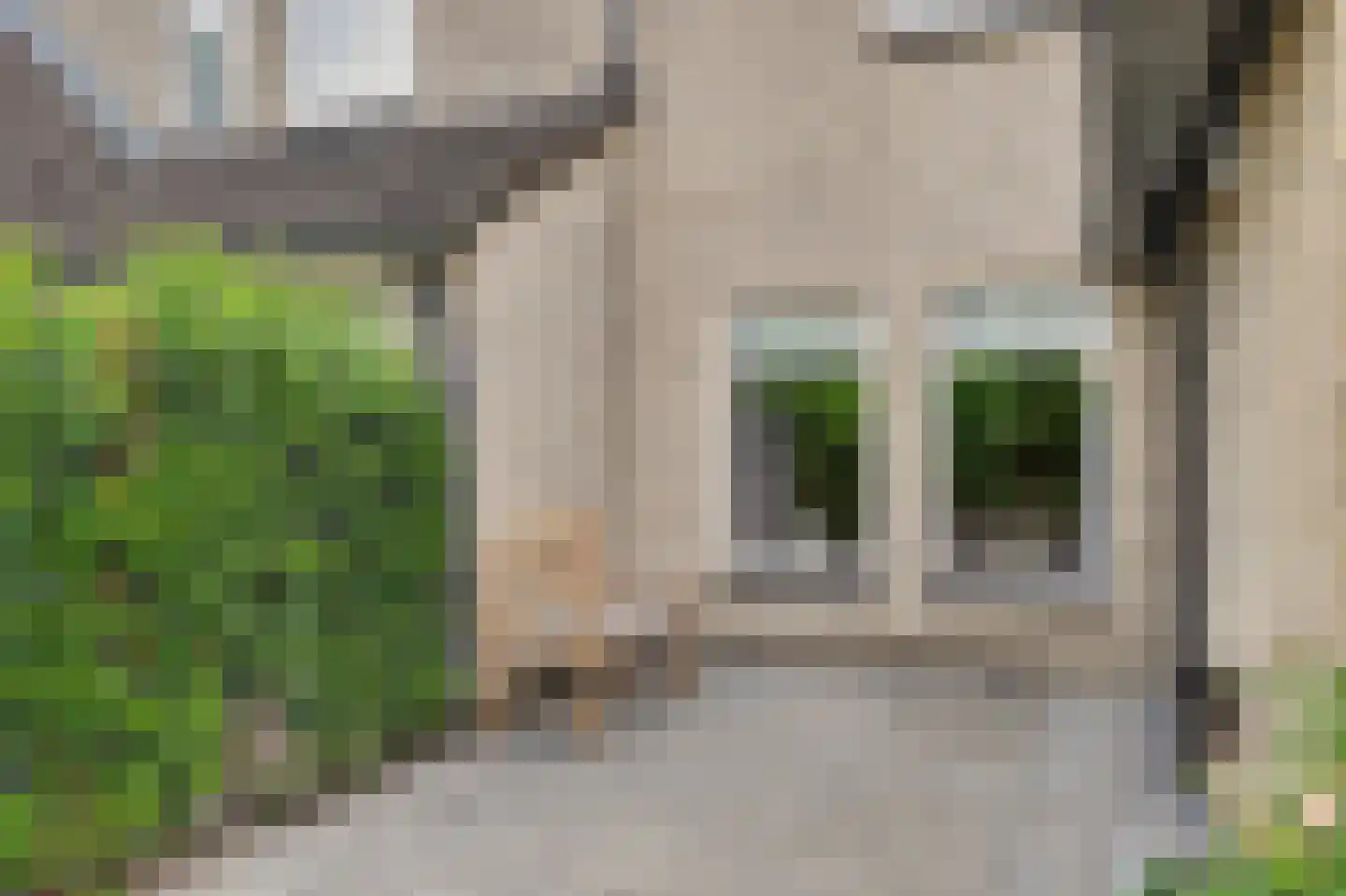 't Staakske 22 Hank thumbnail 40