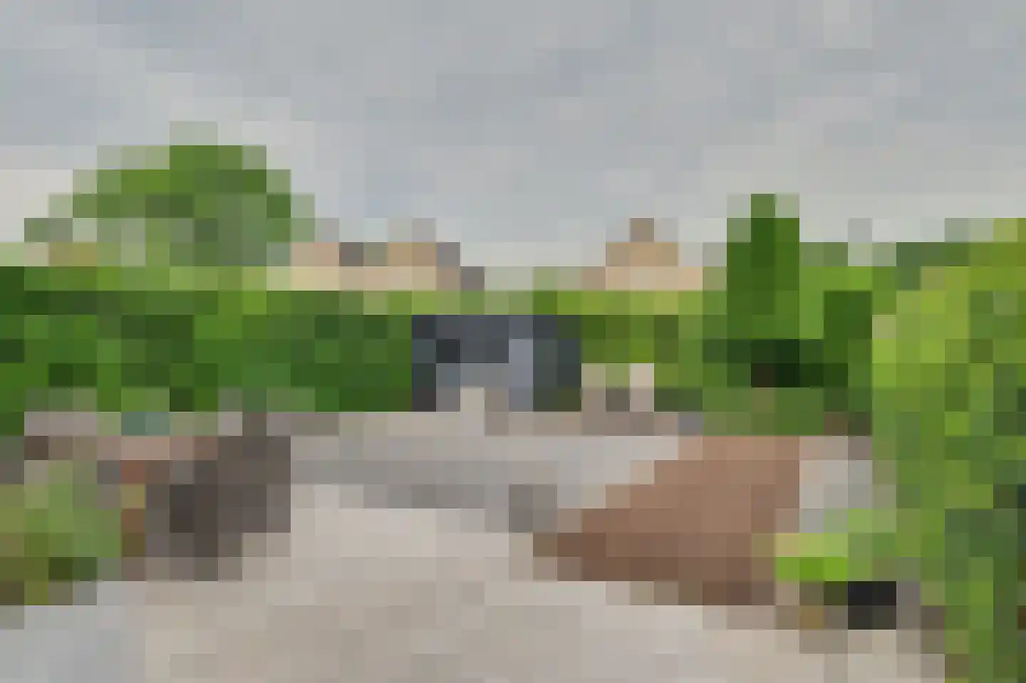 't Staakske 22 Hank thumbnail 41