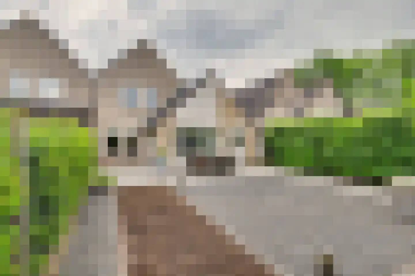 't Staakske 22 Hank thumbnail 42