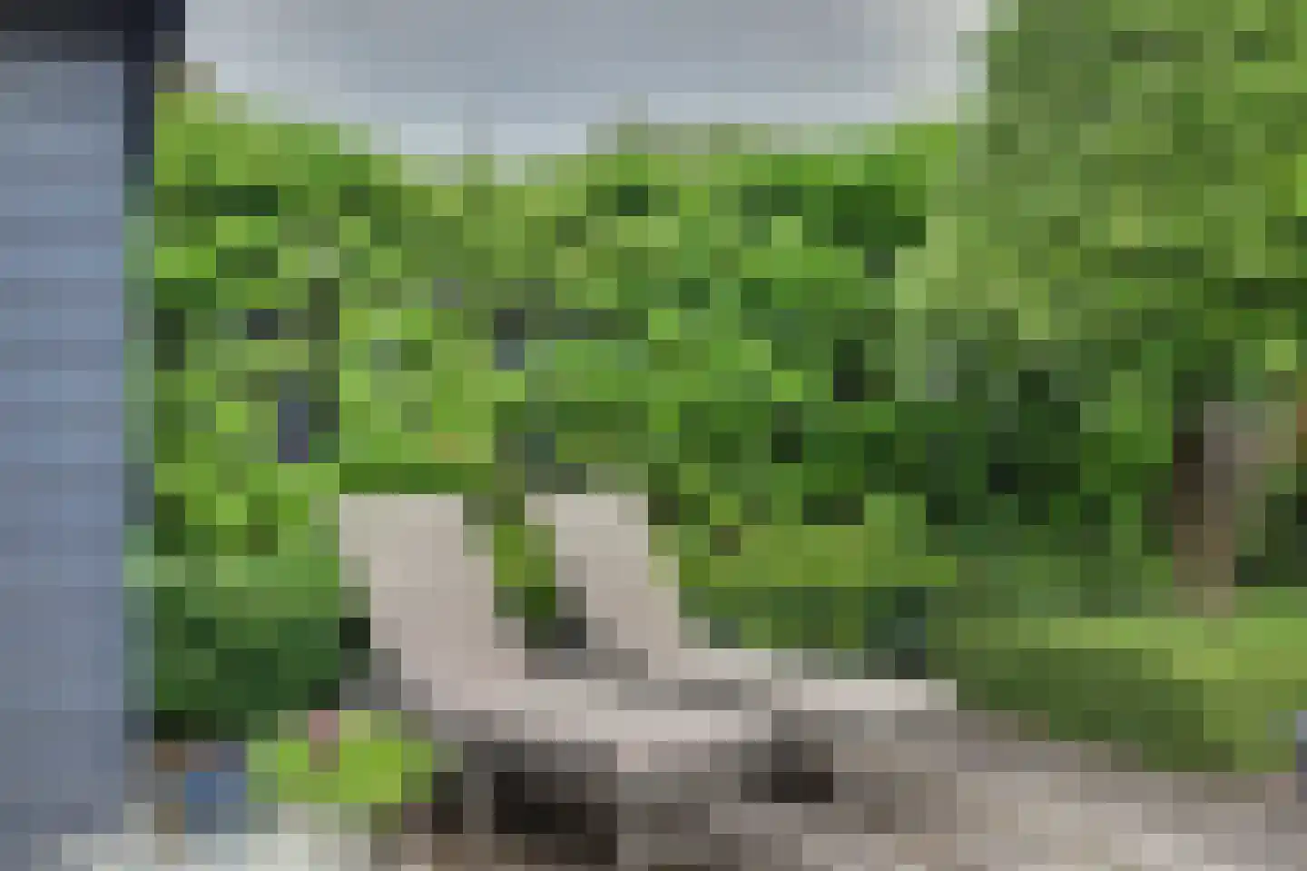 't Staakske 22 Hank thumbnail 44