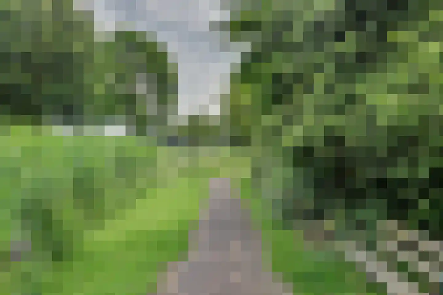 't Staakske 22 Hank thumbnail 46