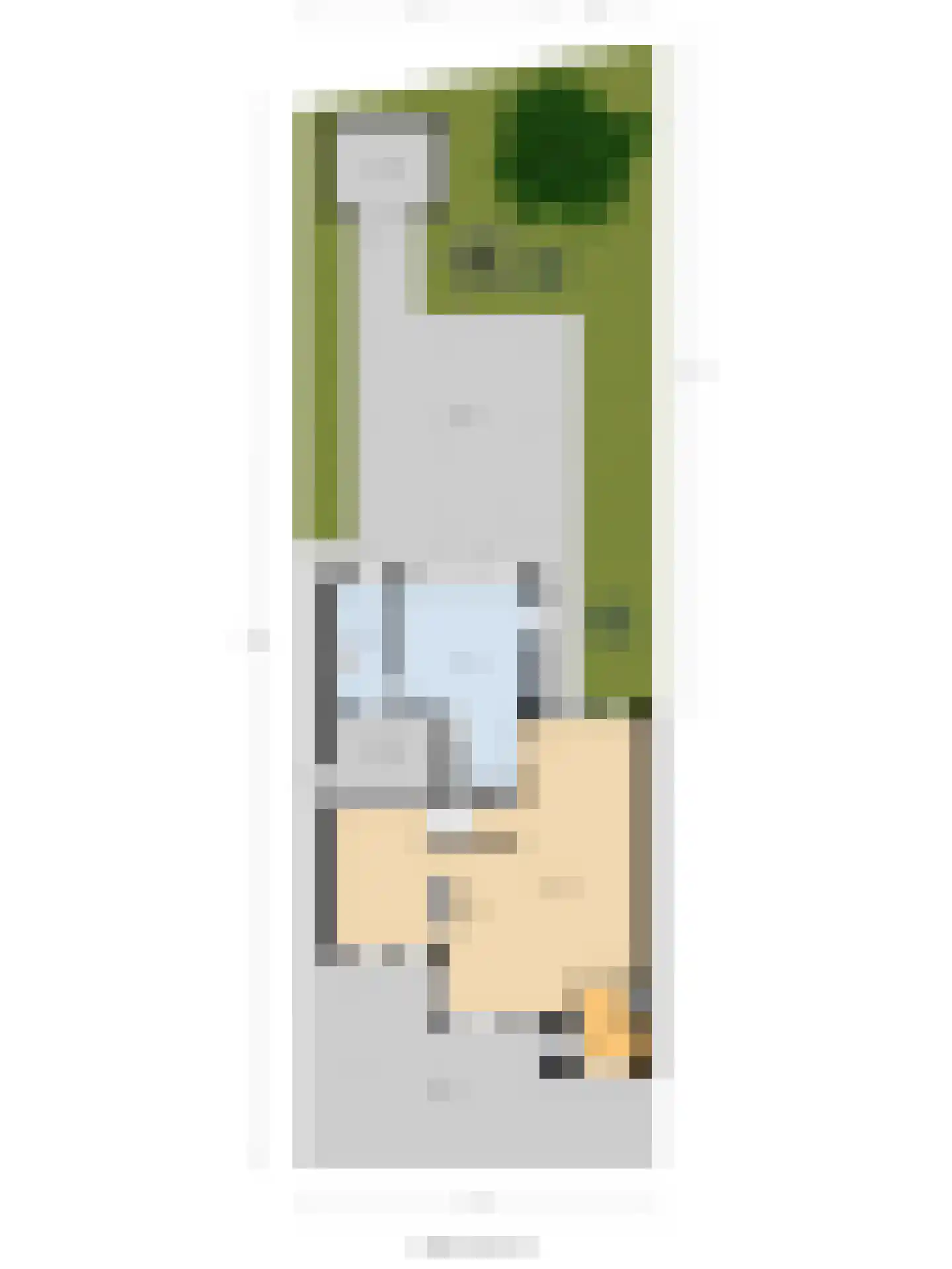 't Staakske 22 Hank thumbnail 53