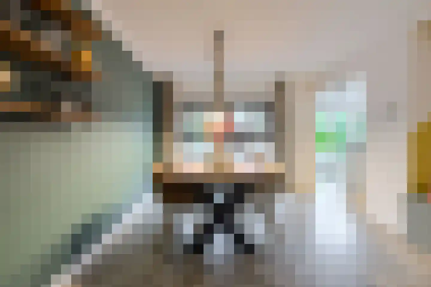 't Staakske 24 Hank thumbnail 11