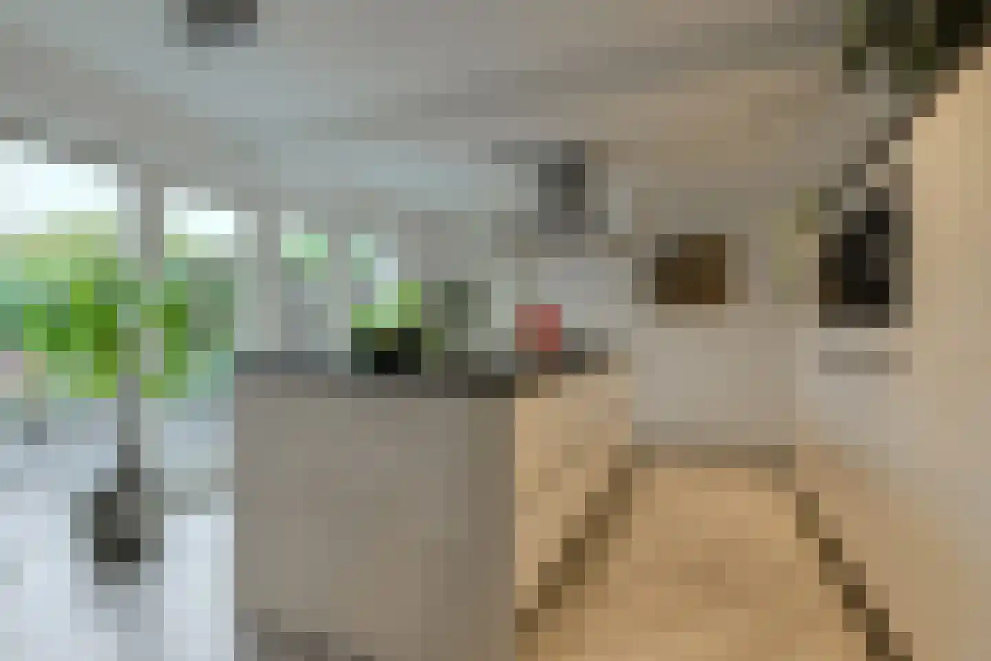 't Staakske 24 Hank thumbnail 13