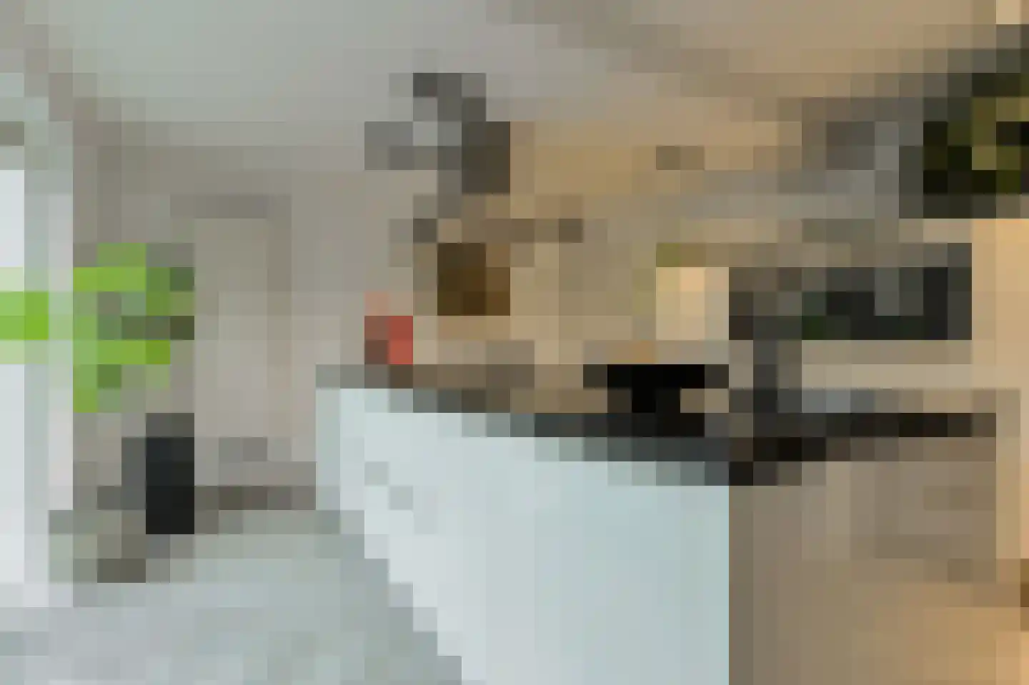 't Staakske 24 Hank thumbnail 14