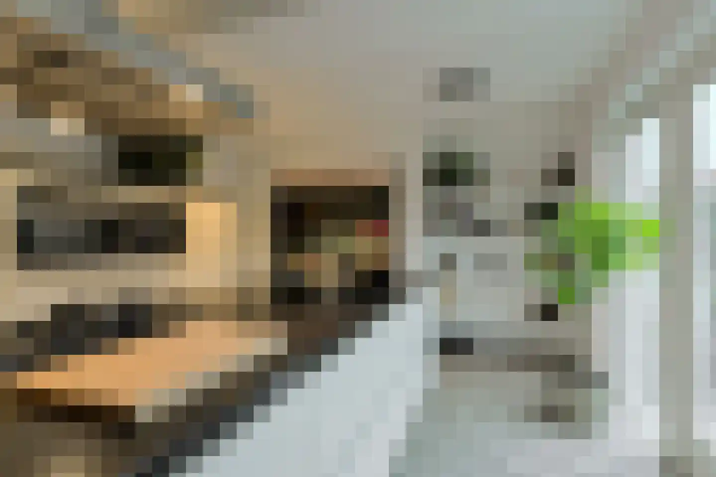 't Staakske 24 Hank thumbnail 16