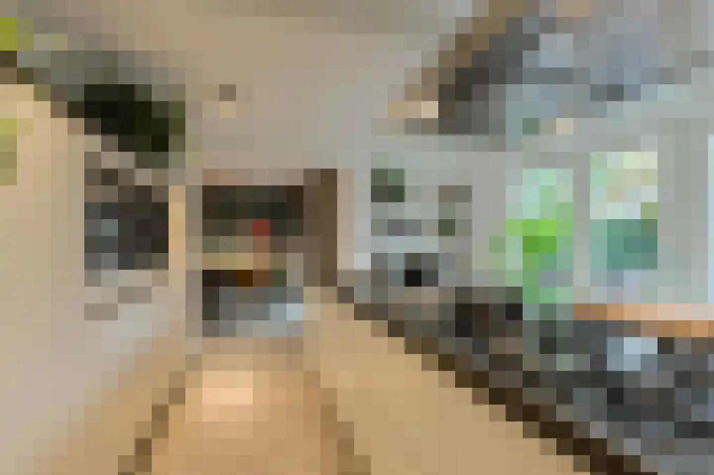 't Staakske 24 Hank thumbnail 17