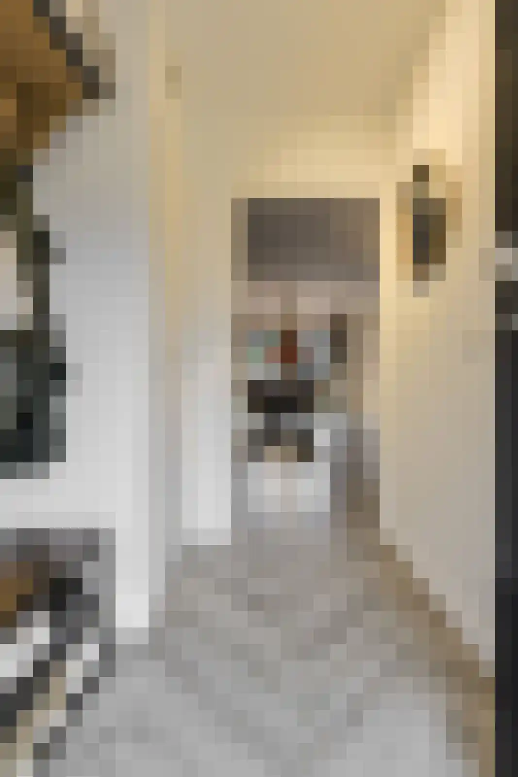 't Staakske 24 Hank thumbnail 22