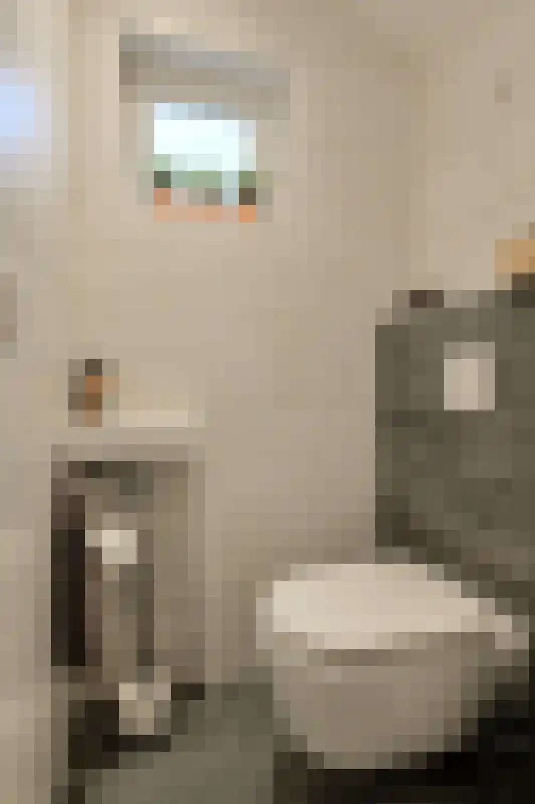 't Staakske 24 Hank thumbnail 23