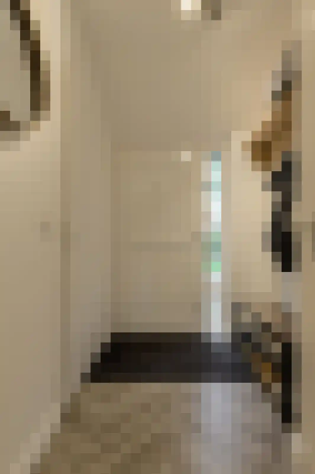 't Staakske 24 Hank thumbnail 24