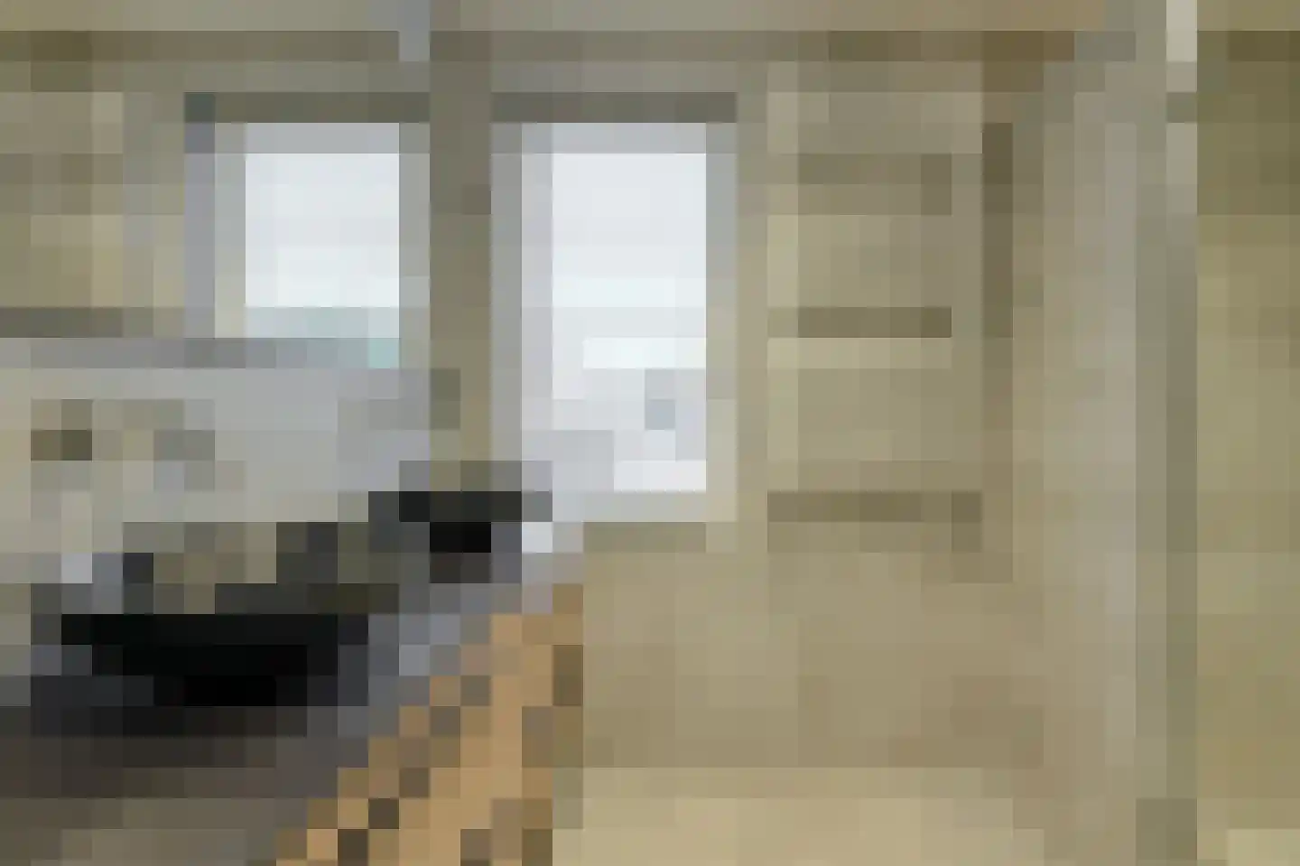 't Staakske 24 Hank thumbnail 28