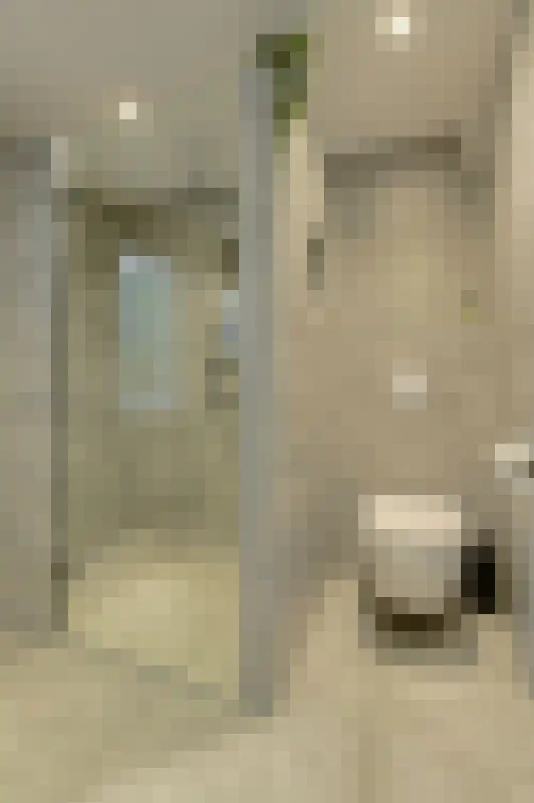 't Staakske 24 Hank thumbnail 29