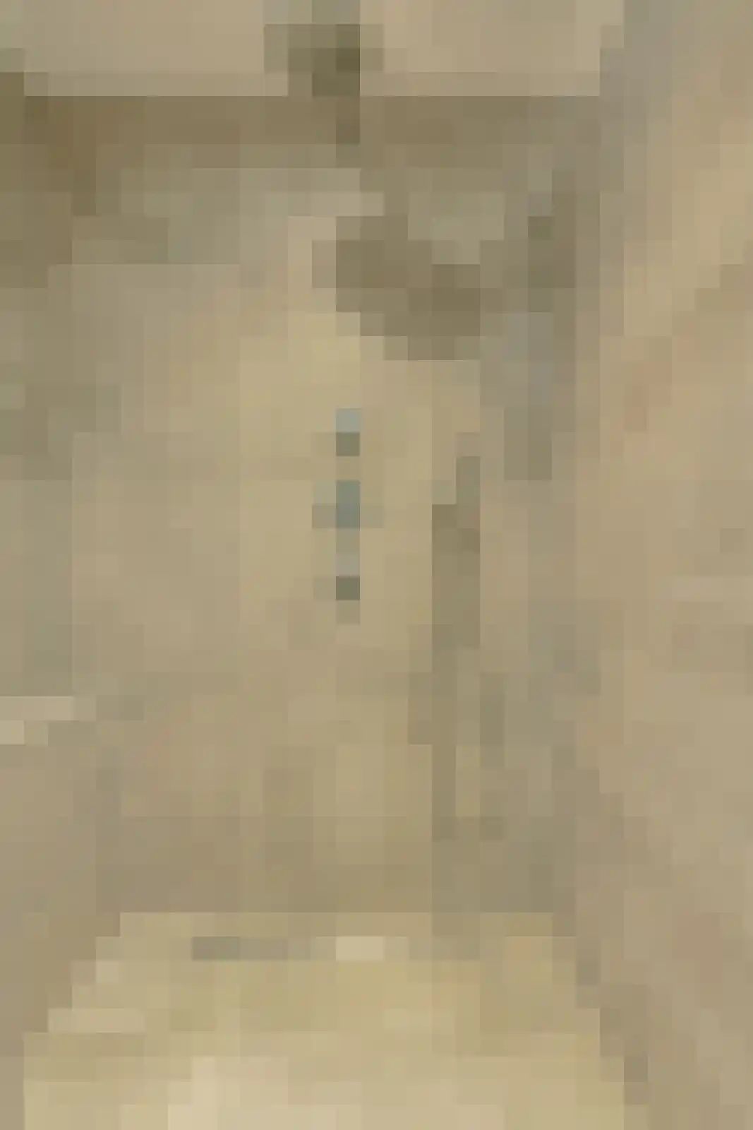 't Staakske 24 Hank thumbnail 30