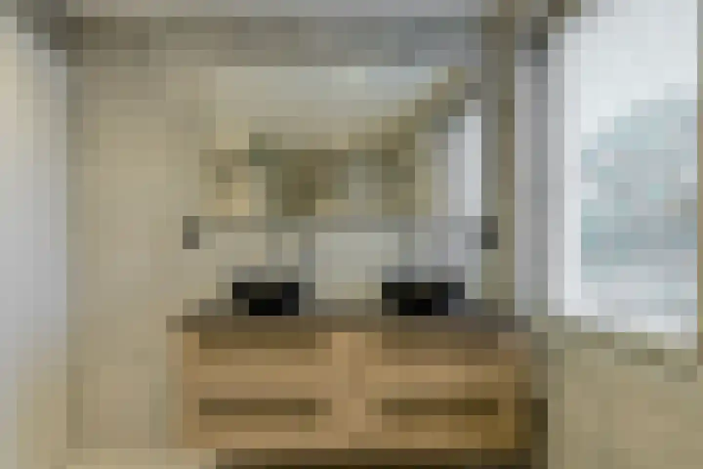 't Staakske 24 Hank thumbnail 31