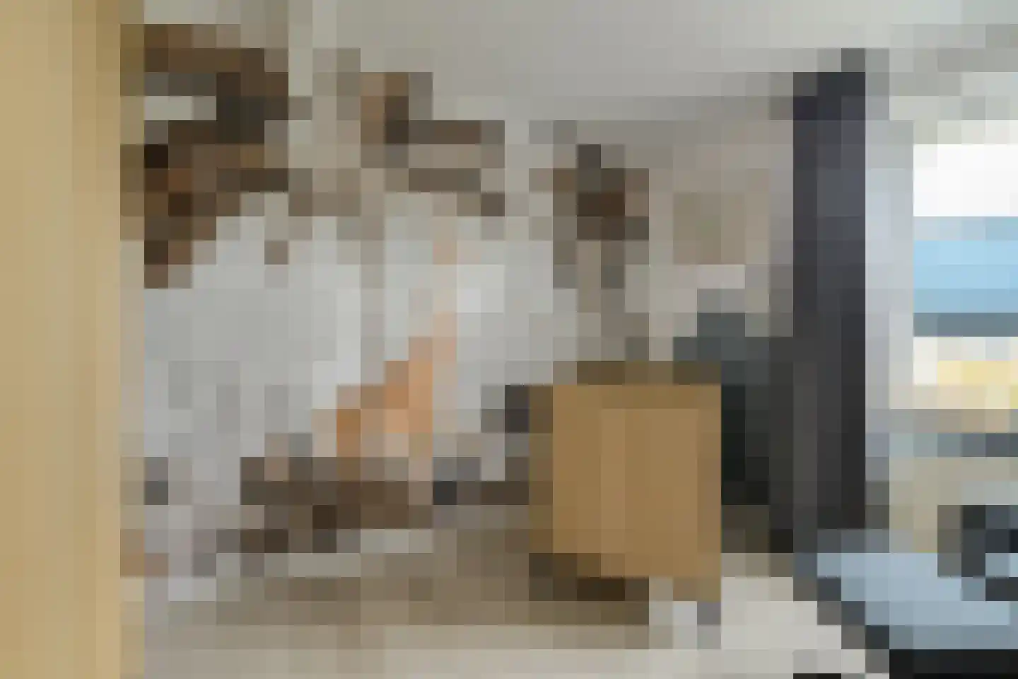't Staakske 24 Hank thumbnail 34