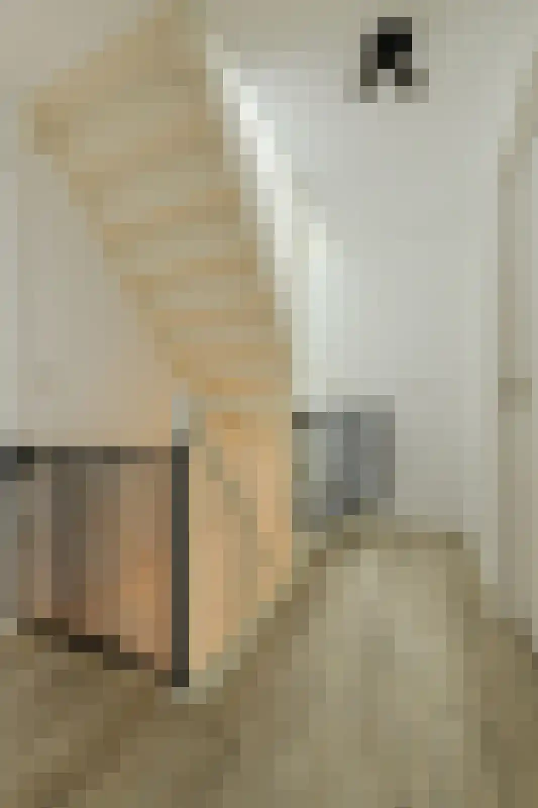 't Staakske 24 Hank thumbnail 37