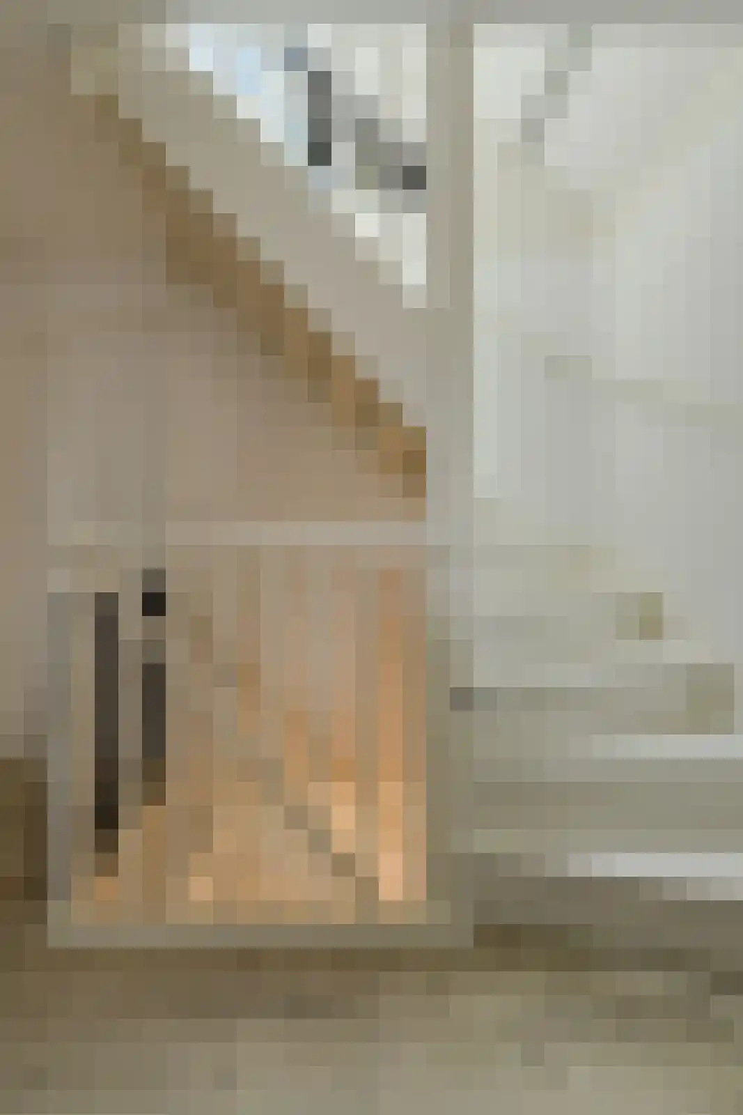 't Staakske 24 Hank thumbnail 38