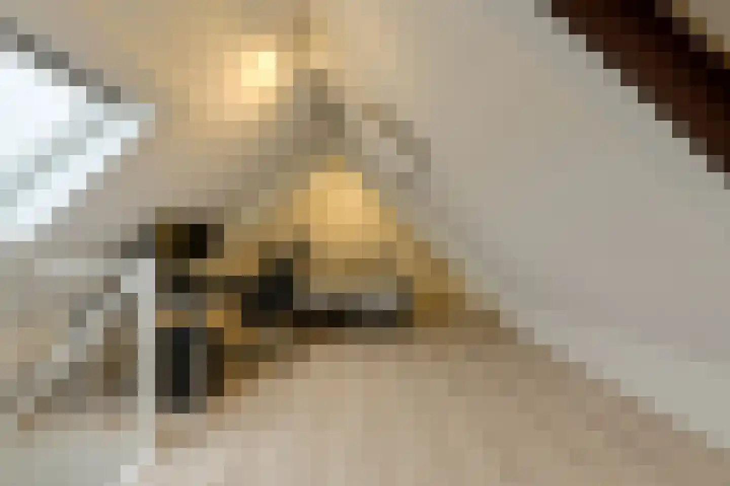 't Staakske 24 Hank thumbnail 39