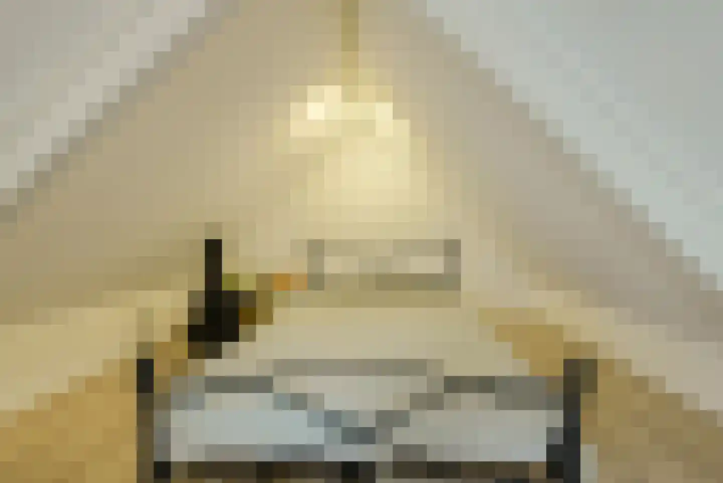 't Staakske 24 Hank thumbnail 40