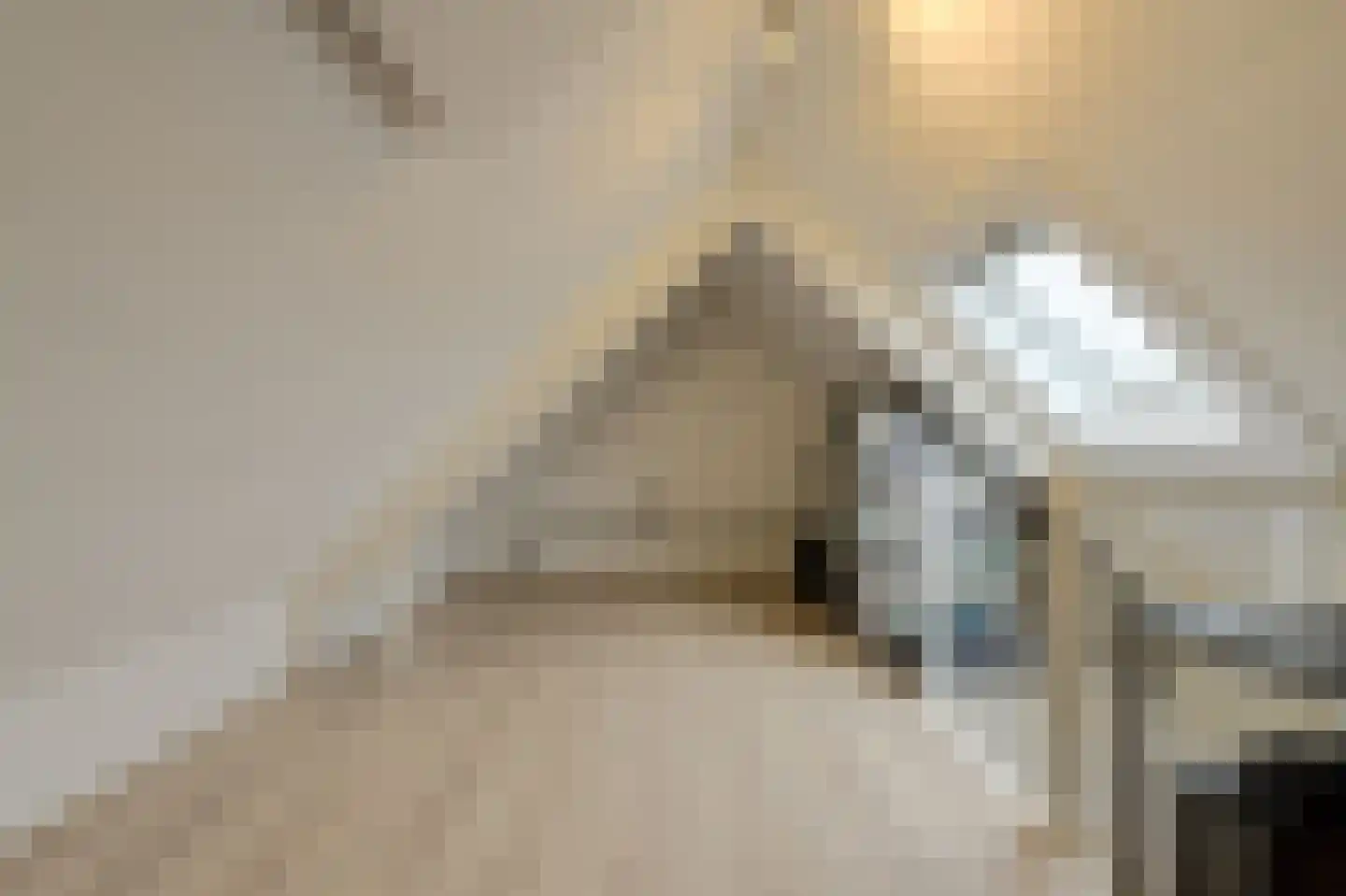 't Staakske 24 Hank thumbnail 41